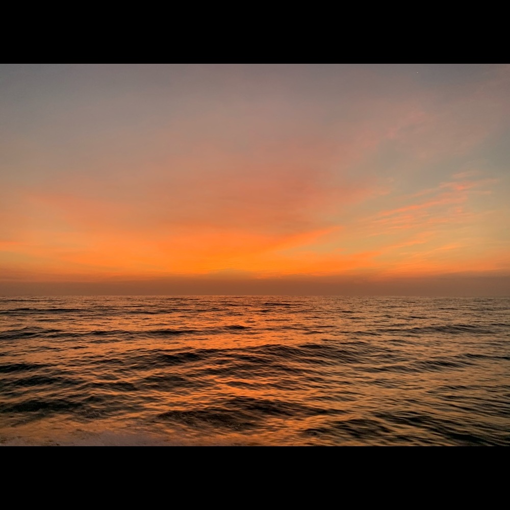 Meet your Posher, Kevin